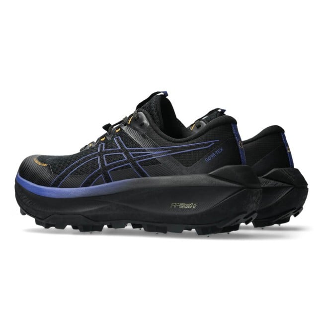 Asics fujisetsu max gore-tex | Sportland