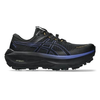 Asics fujisetsu max gore-tex | Sportland